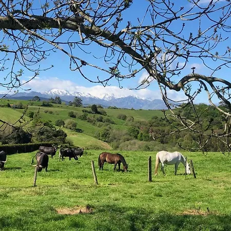 Villa Los Milanos *
